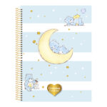 Caderno Espiral Colegial Médio Capa Dura 80 Folhas Ursinhos Carinhosos - Estampas Sortidas