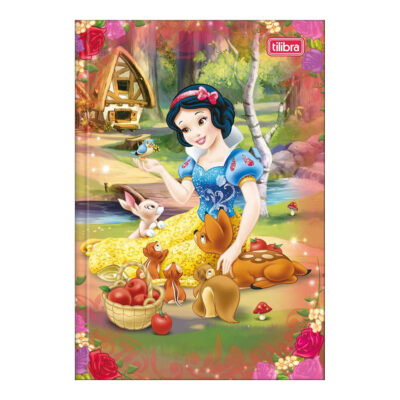 Caderno 1/4 Pequeno Brochura Costurado Sem Mola Capa Dura 80folhas Princesas - Estampas Sortidas