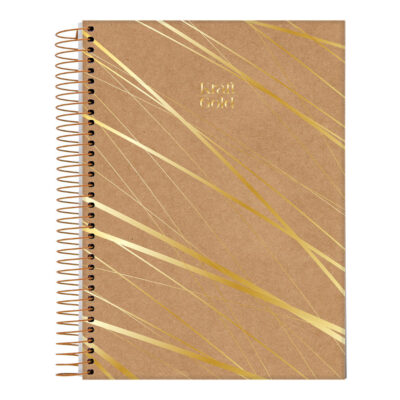 Caderno Espiral Universitário Grande Capa Dura 80 Folhas Kraft Gold – Estampas Sortidas