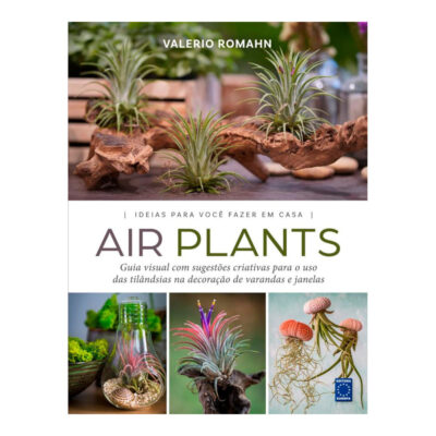 Air Plants - Ideias Para Você Fazer Em Casa