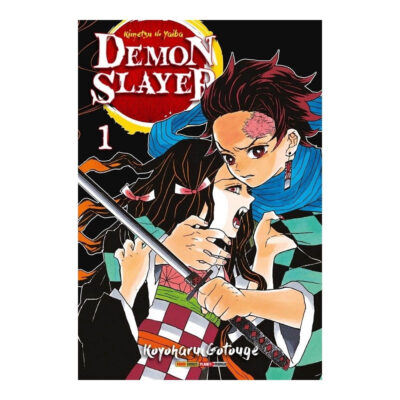 Demon Slayer: Kimetsu No Yaiba Vol 1