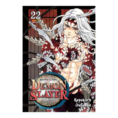 Demon Slayer Kimetsu Yaiba Vol 22