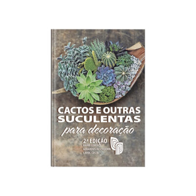 Cactos E Outras Suculentas Para Decoração