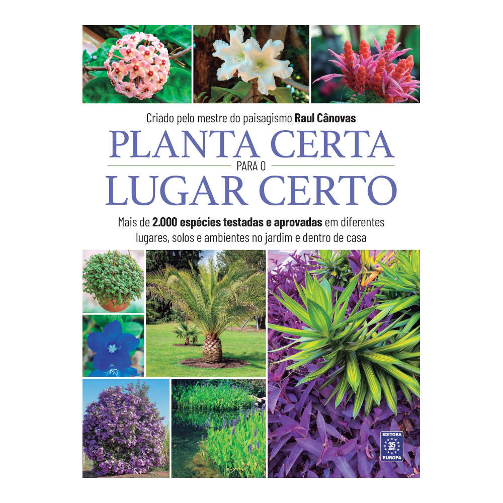 Planta Certa Para O Lugar Certo Planta Certa Para O Lugar Certo