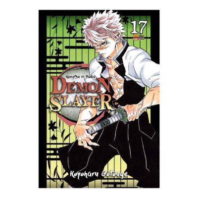 Demon Slayer Kimetsu Yaiba Vol 17