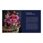 The World According To Coco -the Wit And Wisdom Of Coco Chanel