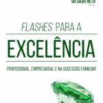 Flashes Para A ExcelÊncia Profissional, Empresarial E Na SucessÃo Familiar