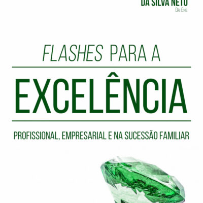 Flashes Para A ExcelÊncia Profissional, Empresarial E Na SucessÃo Familiar