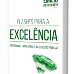 Flashes Para A ExcelÊncia Profissional, Empresarial E Na SucessÃo Familiar