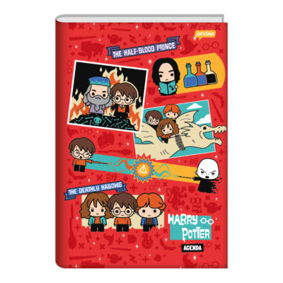 Caderno Brochura Costurado Sem Mola Universitário Grande Capa Dura 96 Folhas Harry Potter - Estampas