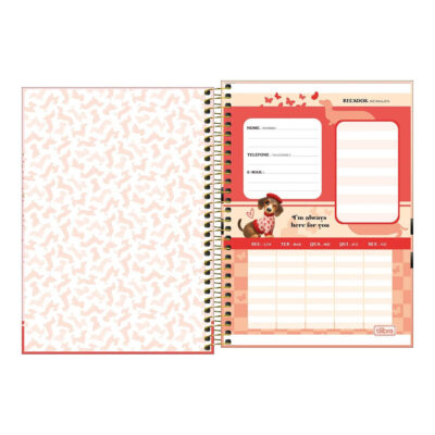 Caderno 1/4 Pequeno Espiral Capa Dura 80 Folhas Brownie – Estampas Sortidas