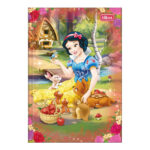 Caderno 1/4 Pequeno Brochura Costurado Sem Mola Capa Dura 80folhas Princesas - Estampas Sortidas