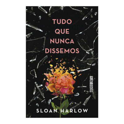 Tudo Que Nunca Dissemos