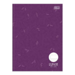 Caderno Caligrafia Brochura Costurado Sem Mola Capa Dura Pauta Larga 80 Folhas Lunix - Cores Sortida