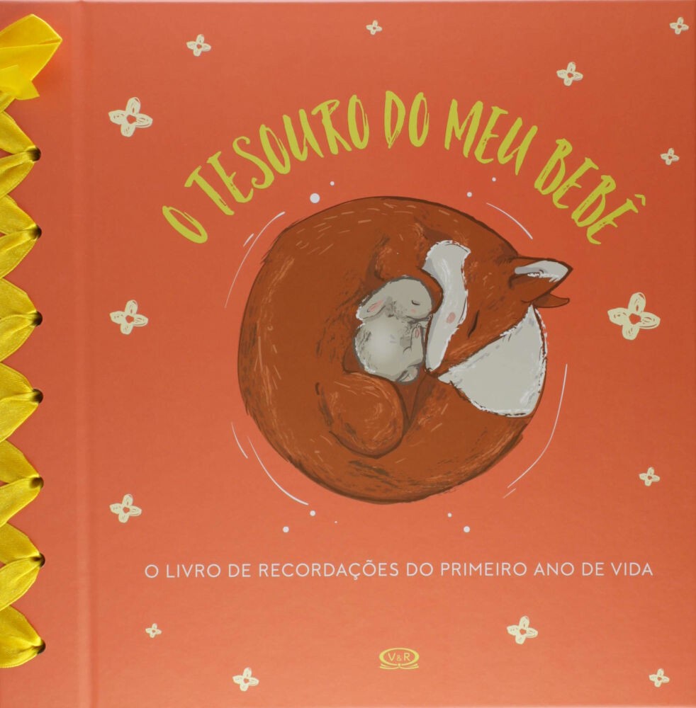 O Tesouro Do Meu BebÊ - Capa Laranja O Tesouro Do Meu BebÊ - Capa Laranja