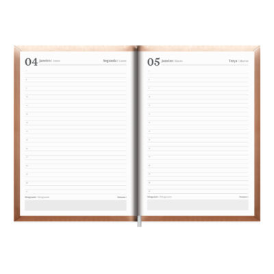 Agenda Costurada Capri Star 2027 – Cores Sortidas