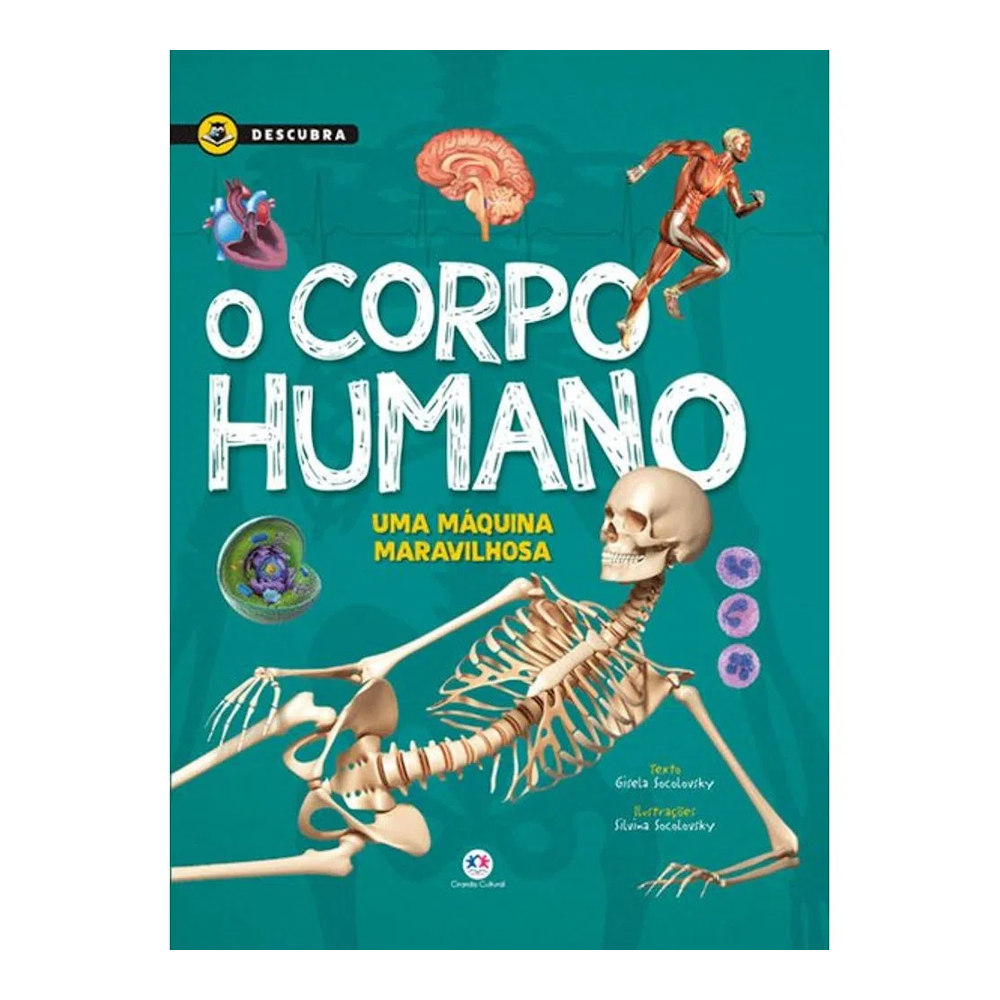 O Corpo Humano O Corpo Humano