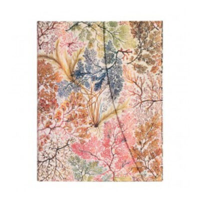Caderno Colegial Capa Dura 144 Páginas Com Pauta Ultra - Anemone Caderno Colegial Capa Dura 144 Páginas Com Pauta Ultra - Anemone