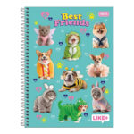 Caderno Espiral Universitário Grande Capa Dura 96 Folhas Like+ Fem  - estampas Sortidas