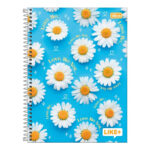 Caderno Espiral Universitário Grande Capa Dura 96 Folhas Like+ Fem  - estampas Sortidas