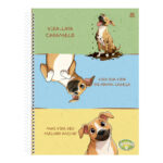Caderno Espiral Universitário Grande Capa Dura 80 Folhas Caramelo - Estampas Sortidas Caderno Espiral Universitário Grande Capa Dura 80 Folhas Caramelo - Estampas Sortidas
