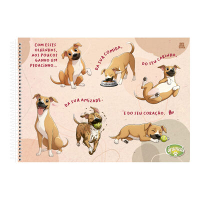 Caderno Desenho E Cartografia Espiral 80 Folhas Capa Dura Caramelo - Estampas Sortidas