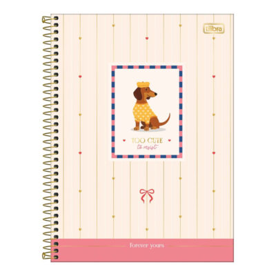 Caderno Espiral Universitário Grande Capa Dura 160 Folhas 10 Matérias Brownie - Estampas Sortidas