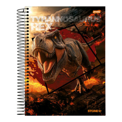 Caderno Espiral Universitário Grande Capa Dura 80 Folhas Stone - Estampas Sortidas